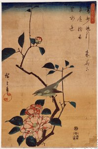 Camellia and Bush Warbler
